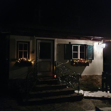 Ferienhaus Waldglueck Gosau Extérieur photo